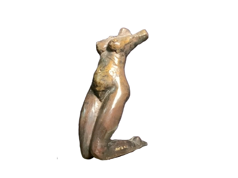 Desnudo